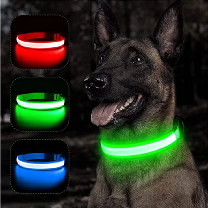 LED Glowing Dog Collar Adjustable Flashing Rechargea Luminous Collar Night Anti-Lost Dog