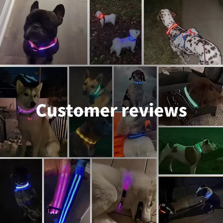 LED Glowing Dog Collar Adjustable Flashing Rechargea Luminous Collar Night Anti-Lost Dog