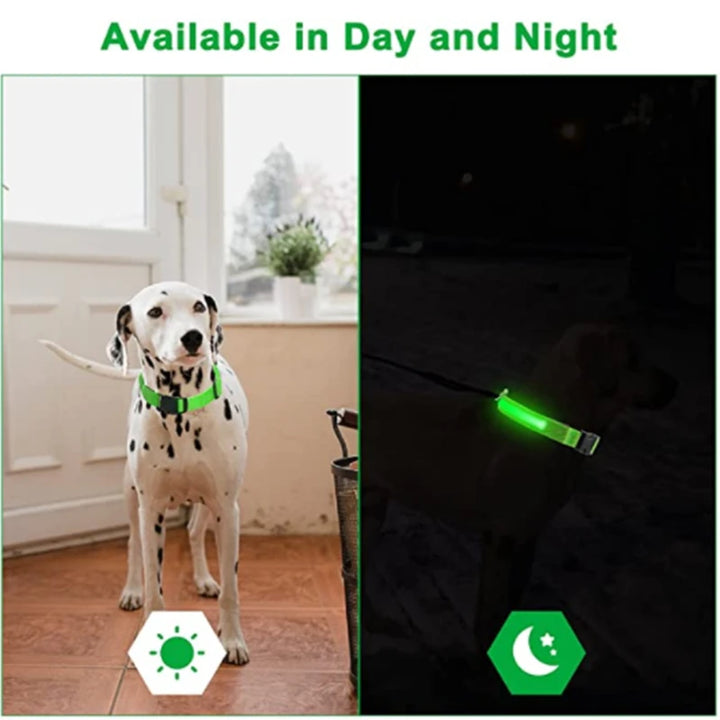 LED Glowing Dog Collar Adjustable Flashing Rechargea Luminous Collar Night Anti-Lost Dog