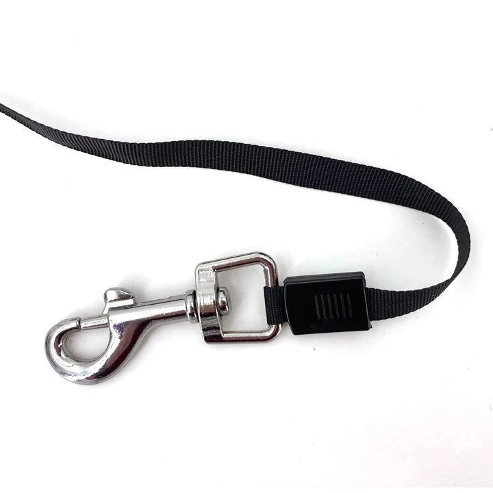 3 Meters 5 Meters Retractable Pet Leash