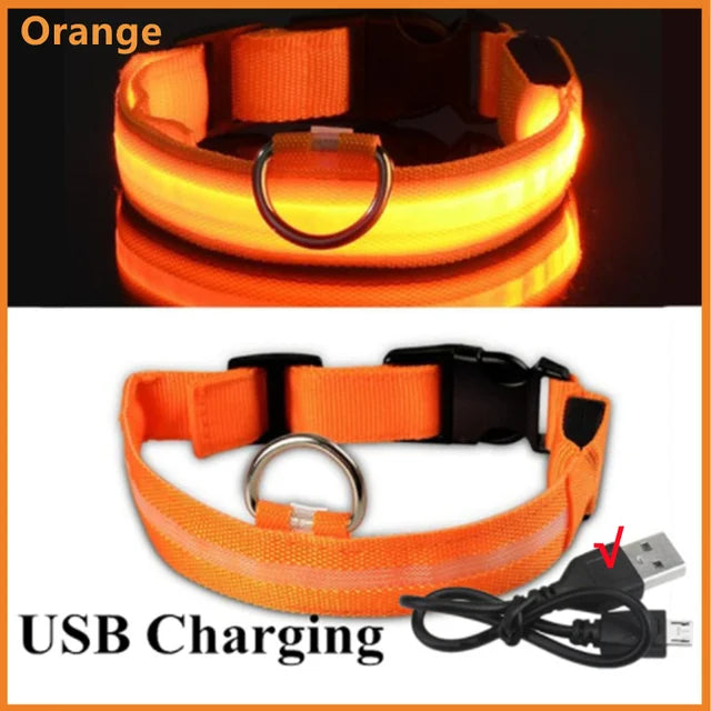 LED Glowing Dog Collar Adjustable Flashing Rechargea Luminous Collar Night Anti-Lost Dog